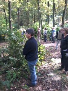 wachten tot de hoofdprijs gevallen is